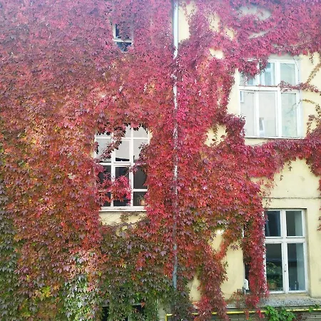 Apartment Piotrkowska Studio *